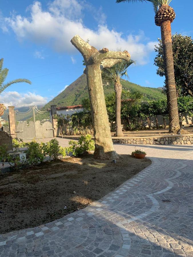 Villa Lucia カステッランマーレ・ディ・スタービア エクステリア 写真